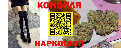 Альфа ПВП Заводоуковск