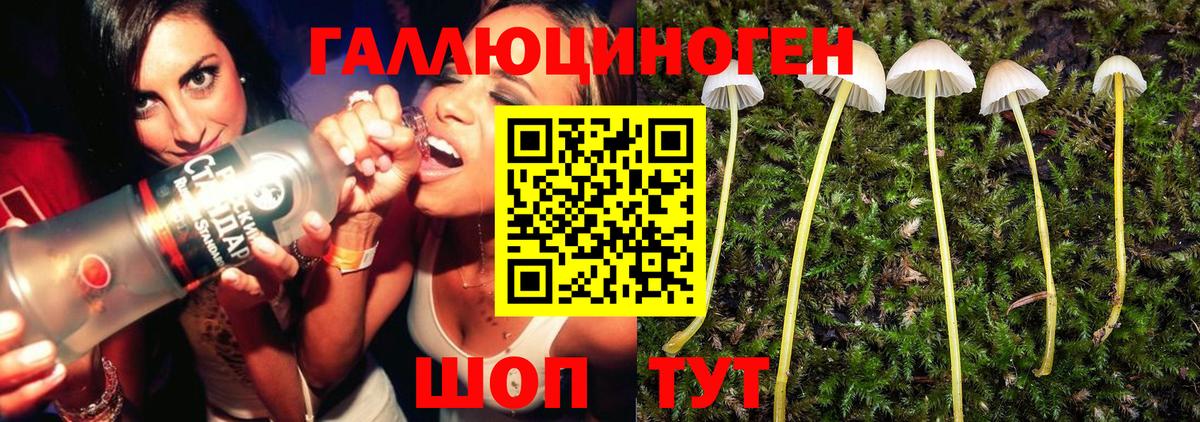 Галлюциногенные грибы ЛСД  Вход с VPN  Менделеевск 